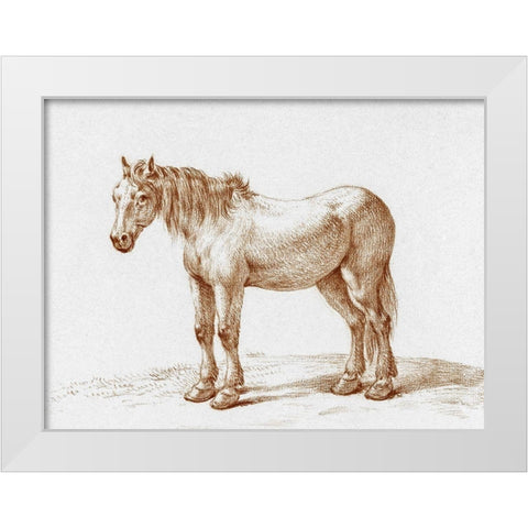 Standing Horse I White Modern Wood Framed Art Print by Bernard, Jean
