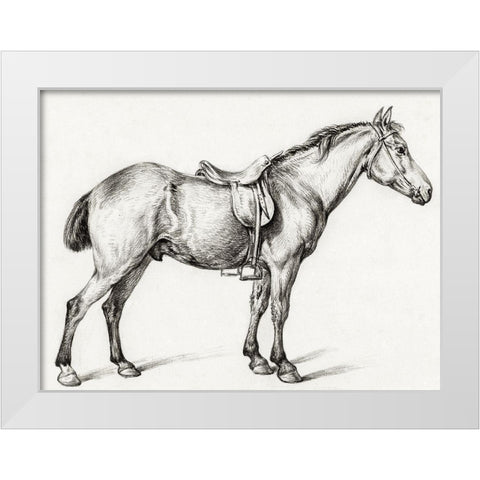 Standing Horse II White Modern Wood Framed Art Print by Bernard, Jean
