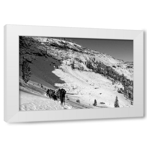 Cougar Basin Payette White Modern Wood Framed Art Print by Lutz, Jesse
