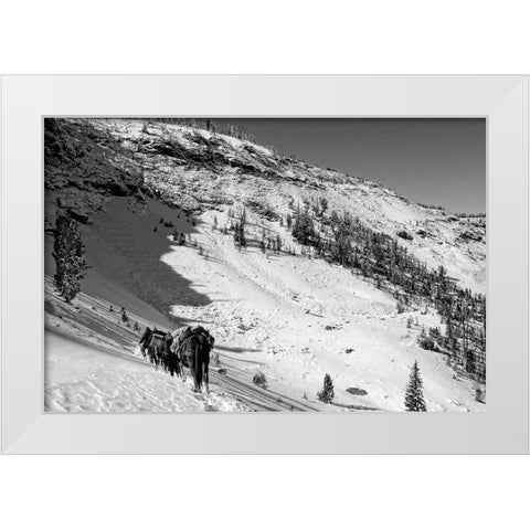 Cougar Basin Payette White Modern Wood Framed Art Print by Lutz, Jesse