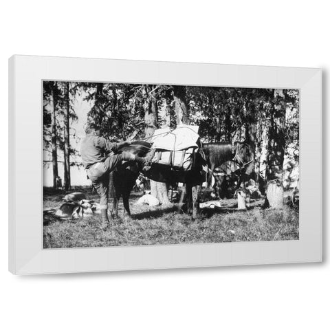 Mule Packing White Modern Wood Framed Art Print by Vintage Photography