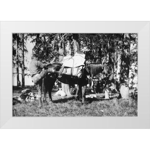 Mule Packing White Modern Wood Framed Art Print by Vintage Photography