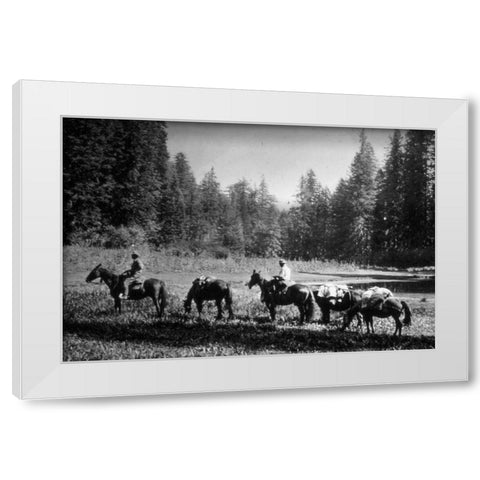 Small Meadow White Modern Wood Framed Art Print by Vintage Photography
