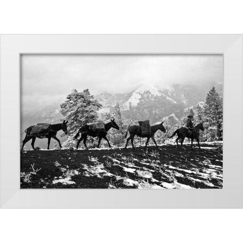 Winter Mule Packing White Modern Wood Framed Art Print by Vintage Photography