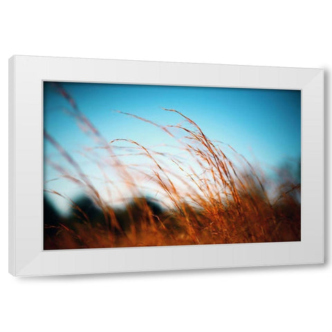 Alabama Grasslands White Modern Wood Framed Art Print by Alabama Picture Archive