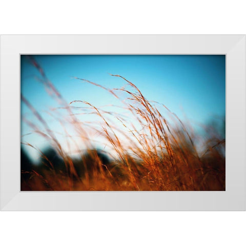 Alabama Grasslands White Modern Wood Framed Art Print by Alabama Picture Archive