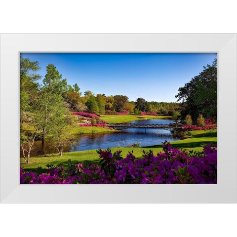 Bellingrath Gardens Alabama I White Modern Wood Framed Art Print by Alabama Picture Archive