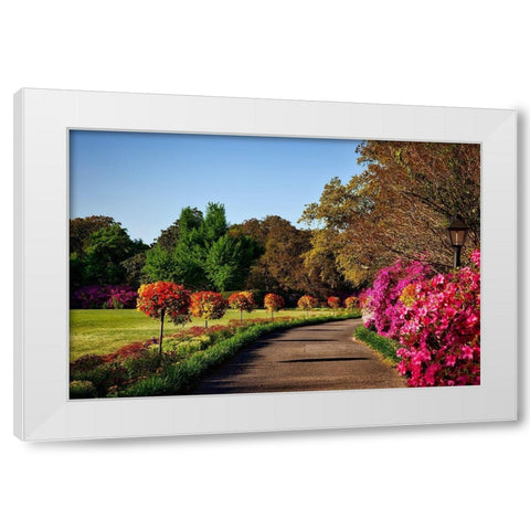 Bellingrath Gardens Alabama II White Modern Wood Framed Art Print by Alabama Picture Archive