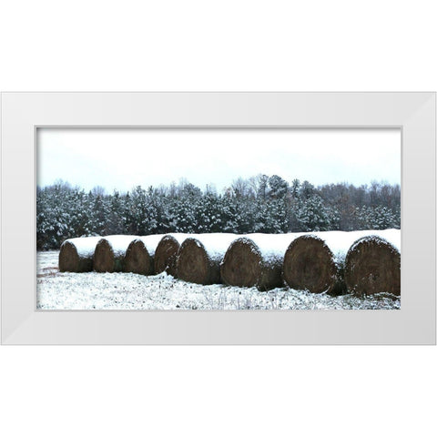 Snow-Covered Hay Rolls-Alabama White Modern Wood Framed Art Print by Alabama Picture Archive