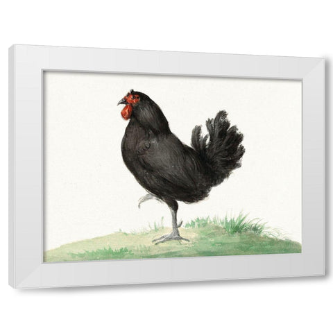 Standing Black Chicken White Modern Wood Framed Art Print by Bernard, Jean