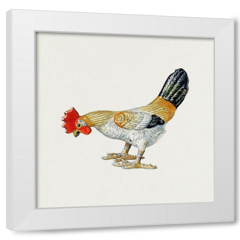 Toy Rooster White Modern Wood Framed Art Print by Hunter, Lillian