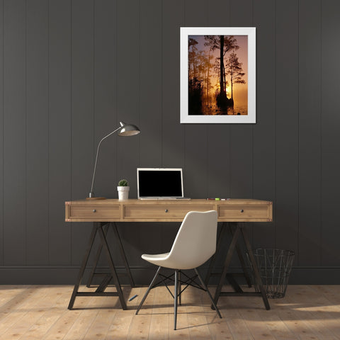 Okefenokee Swamp Sunset-Georgia White Modern Wood Framed Art Print by Georgia Picture Archive