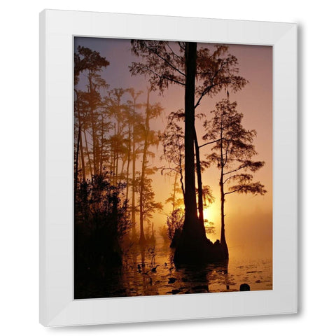 Okefenokee Swamp Sunset-Georgia White Modern Wood Framed Art Print by Georgia Picture Archive