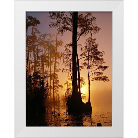 Okefenokee Swamp Sunset-Georgia White Modern Wood Framed Art Print by Georgia Picture Archive