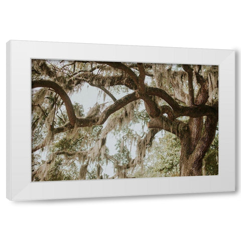 Savannah Georgia White Modern Wood Framed Art Print by Georgia Picture Archive