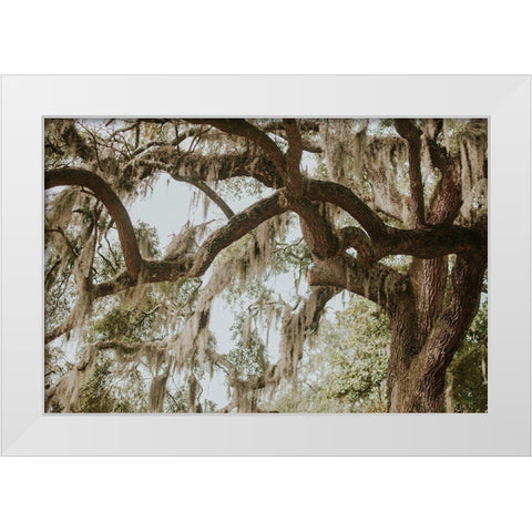 Savannah Georgia White Modern Wood Framed Art Print by Georgia Picture Archive