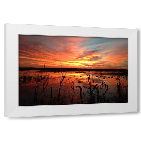 March Sunrise in Missouri White Modern Wood Framed Art Print by Helmers, Doug
