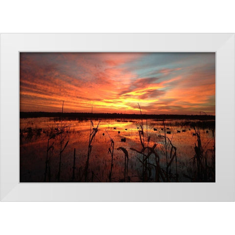 March Sunrise in Missouri White Modern Wood Framed Art Print by Helmers, Doug