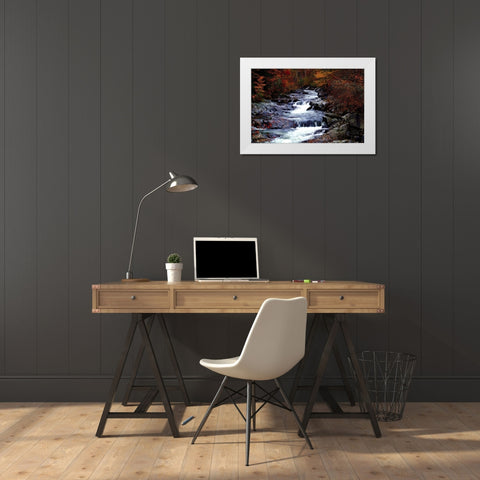 Tennessee Great Smoky Mountains National Park White Modern Wood Framed Art Print by Tennessee Picture Archive