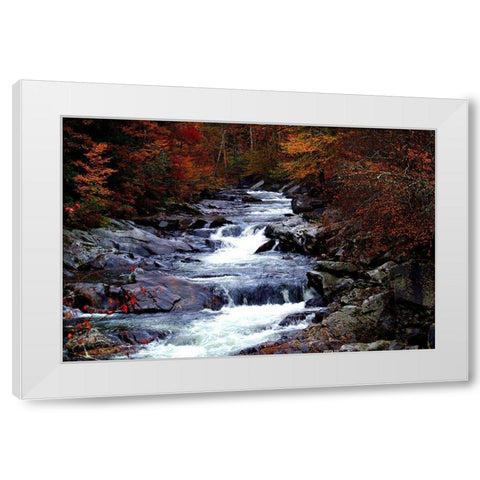 Tennessee Great Smoky Mountains National Park White Modern Wood Framed Art Print by Tennessee Picture Archive