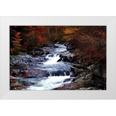 Tennessee Great Smoky Mountains National Park White Modern Wood Framed Art Print by Tennessee Picture Archive