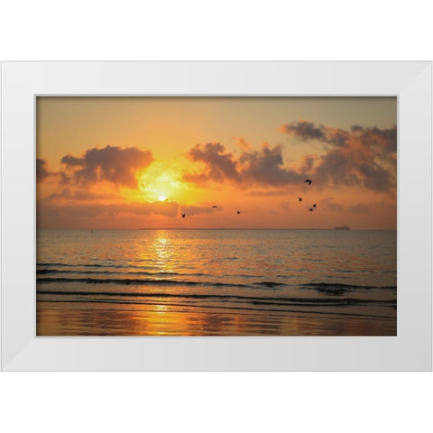 Gulf Coast Sunset White Modern Wood Framed Art Print by Texas Picture Archive