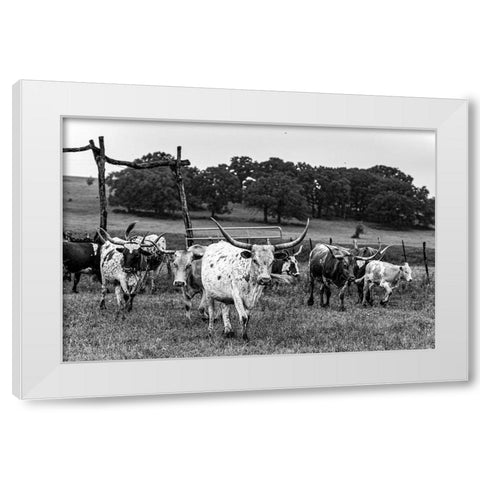 Lonesome Pine Ranch Austin County Texas White Modern Wood Framed Art Print by Texas Picture Archive