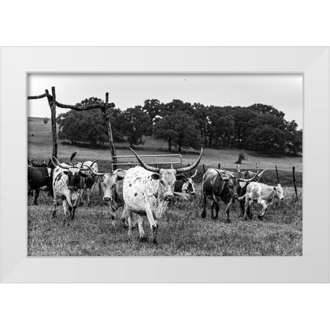 Lonesome Pine Ranch Austin County Texas White Modern Wood Framed Art Print by Texas Picture Archive