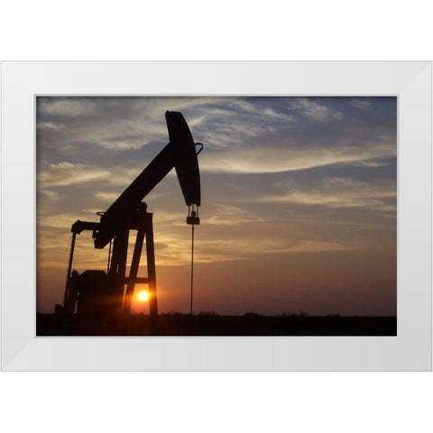 Texas Grasshopper at Sunset White Modern Wood Framed Art Print by Texas Picture Archive