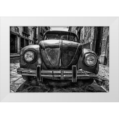 Hangin in There White Modern Wood Framed Art Print by Vintage Photo Archive