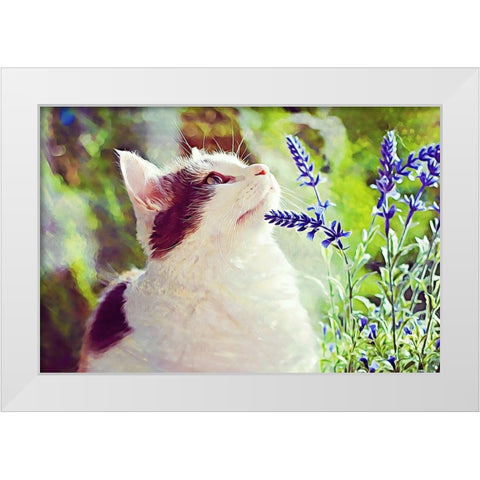 Conferring with the Flowers White Modern Wood Framed Art Print by Alpenglow Workshop