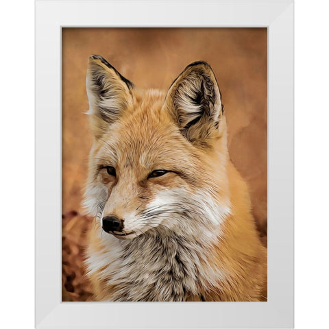 Fox White Modern Wood Framed Art Print by Alpenglow Workshop