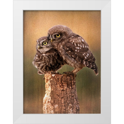 Learning the Ropes White Modern Wood Framed Art Print by Alpenglow Workshop