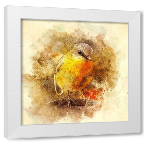 Little Bird White Modern Wood Framed Art Print by Alpenglow Workshop
