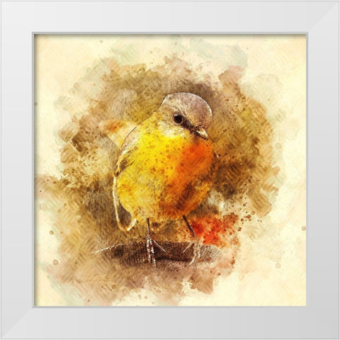 Little Bird White Modern Wood Framed Art Print by Alpenglow Workshop
