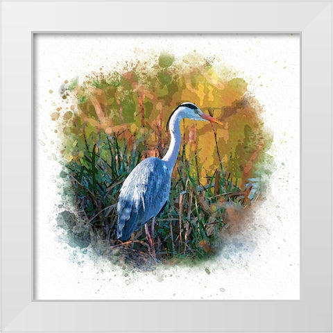 Patiently Waiting White Modern Wood Framed Art Print by Alpenglow Workshop