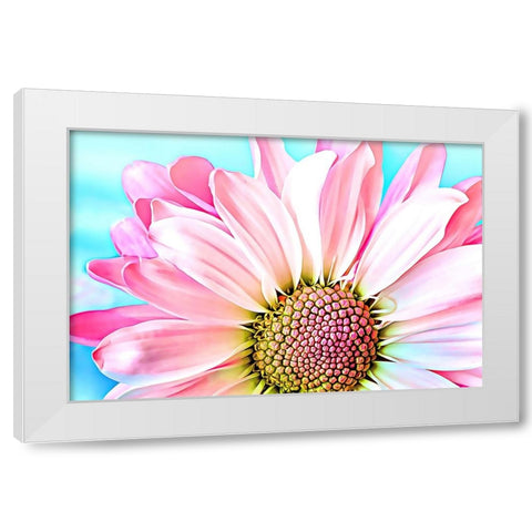 Pink Dahlia White Modern Wood Framed Art Print by Alpenglow Workshop