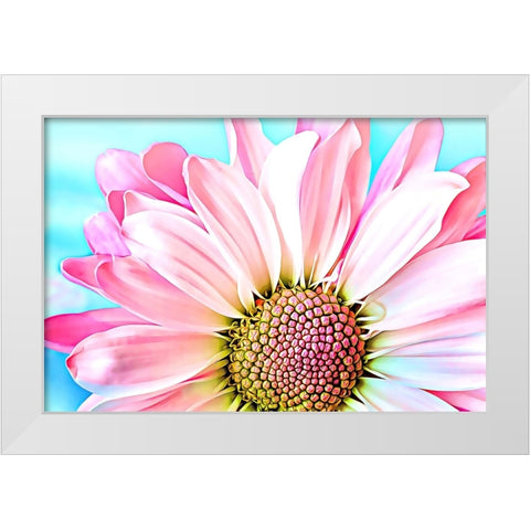 Pink Dahlia White Modern Wood Framed Art Print by Alpenglow Workshop