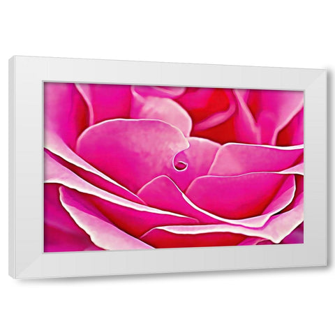 Pink Perfection Rose White Modern Wood Framed Art Print by Alpenglow Workshop