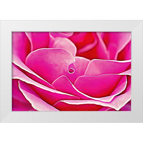 Pink Perfection Rose White Modern Wood Framed Art Print by Alpenglow Workshop