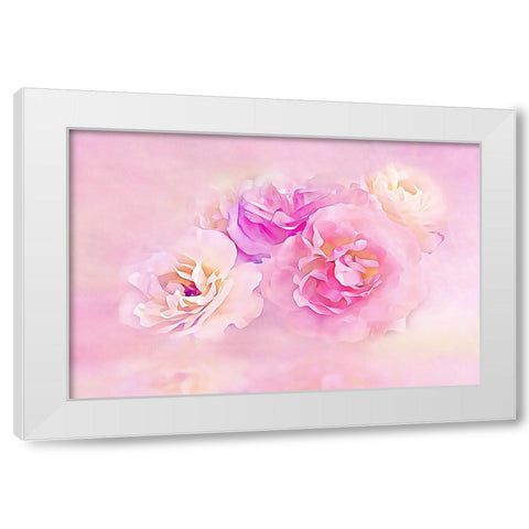 Pink Roses in the Clouds White Modern Wood Framed Art Print by Alpenglow Workshop