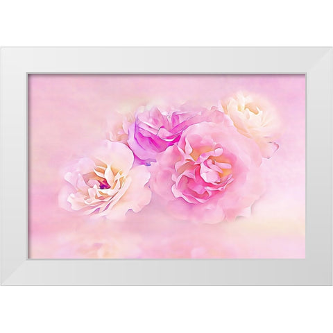 Pink Roses in the Clouds White Modern Wood Framed Art Print by Alpenglow Workshop