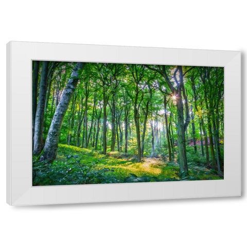 Emerald Forest White Modern Wood Framed Art Print by Alpenglow Workshop