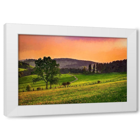 Evening Pasture White Modern Wood Framed Art Print by Alpenglow Workshop