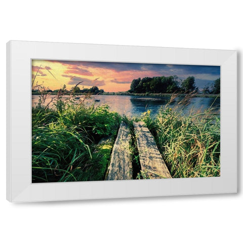 Evening Swim White Modern Wood Framed Art Print by Alpenglow Workshop