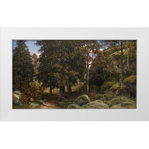 Forest Interior White Modern Wood Framed Art Print by Alpenglow Workshop
