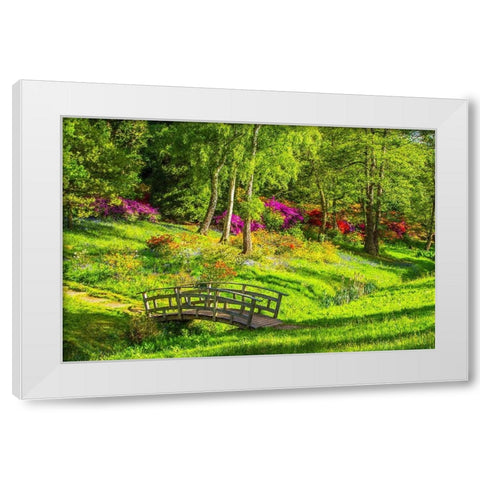 Garden Footpath Bridge White Modern Wood Framed Art Print by Alpenglow Workshop