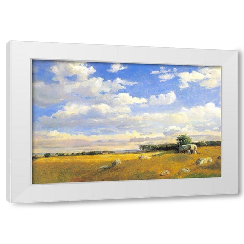 Meadow with Rocky Outcrops White Modern Wood Framed Art Print by Alpenglow Workshop