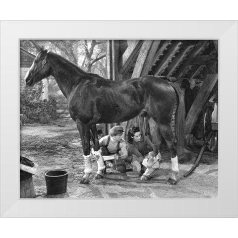 National Velvet, 1944 White Modern Wood Framed Art Print by Vintage Hollywood Archive
