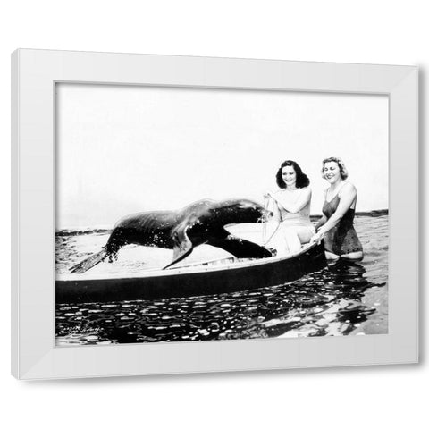 Sharkey the Seal, 1941 White Modern Wood Framed Art Print by Vintage Hollywood Archive